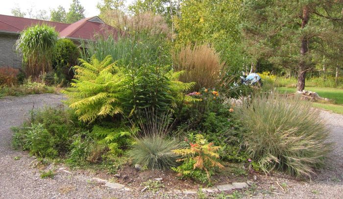 5 different ornamental grasses in an island bed.