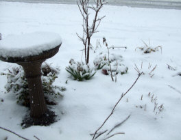 Last year on this April 6th, outside my front door in Sharon - April 6th, 2009