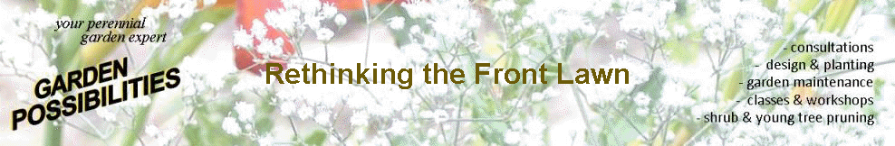 Rethinking the Front Lawn