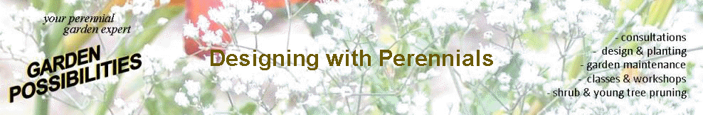 Designing with Perennials
