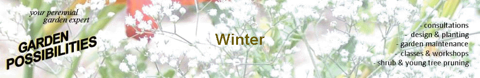 Winter