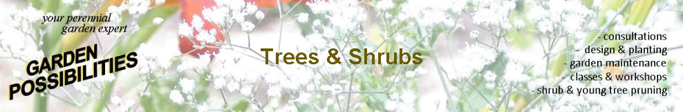 Trees & Shrubs