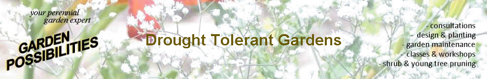 Drought Tolerant Gardens