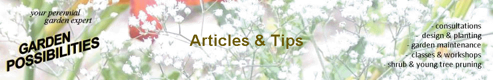 Articles, Tips & Advice