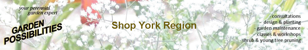 Shopping York Region