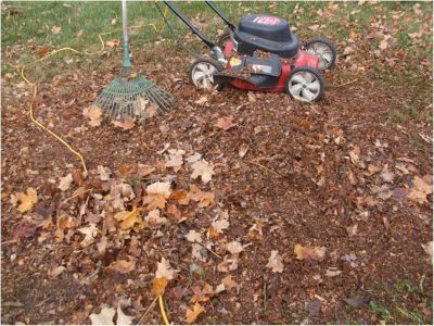 chopped leaves are just a fraction of the orginal bulk size. 