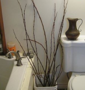 branches treated and in a few wekks they'll bloom