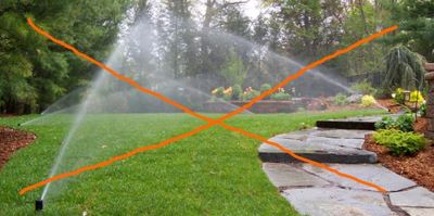 Irrigation systems can be very harmful to pernnial gardens.