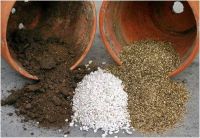 potting mix ammendments